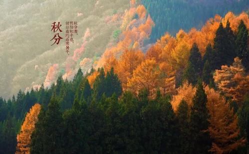 小熊洗车APP