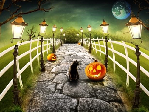 4118ccm云顶集团appV2.9专业版