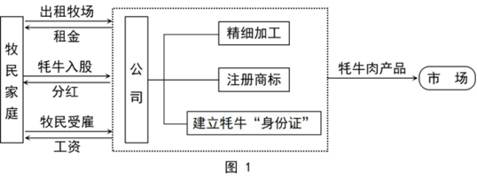 小熊洗车APP