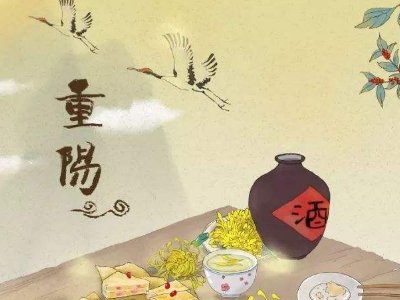 新发娱乐入口V5.2专业版