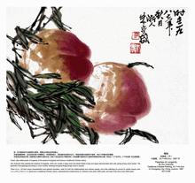 贵州药材APP