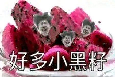 贵州药材APP