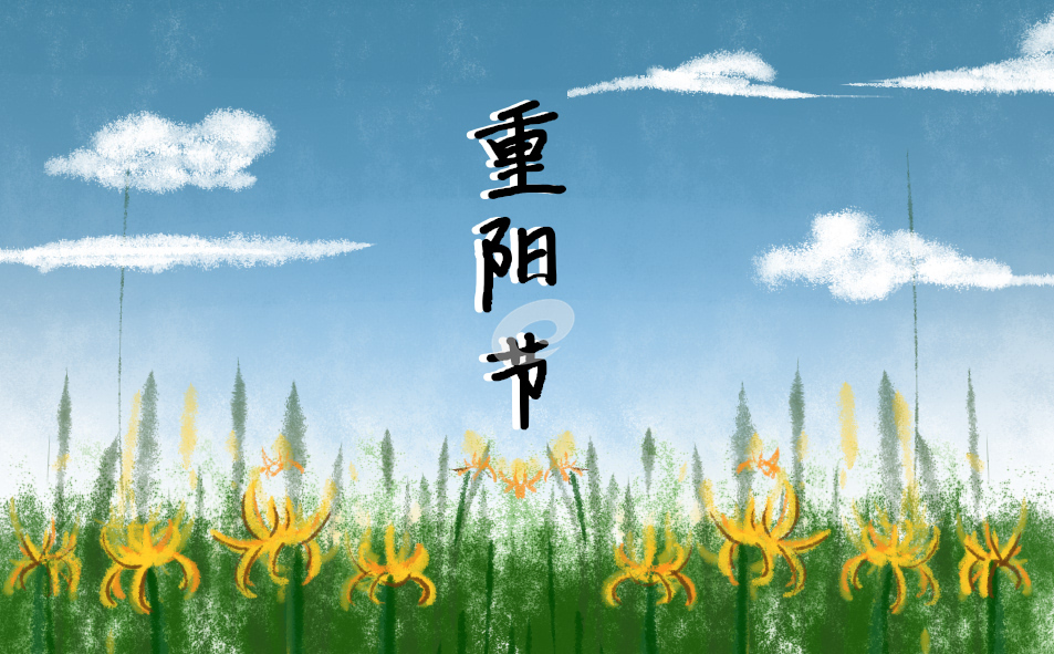 小熊洗车APP