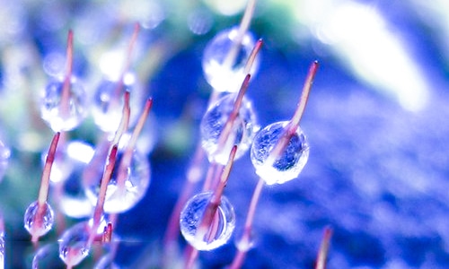 MksportappV8.8专业版