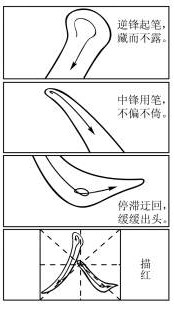 贵州药材APP