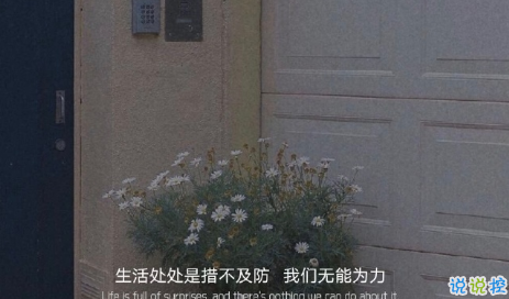 威斯尼斯人8188app