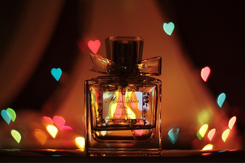 东升国际appV1.5专业版