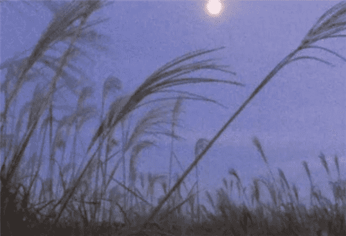 银娱优越会appV9.8专业版