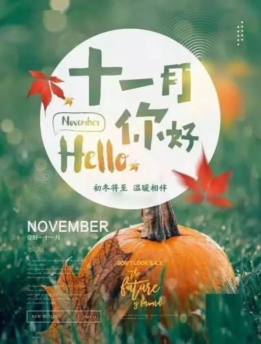 贵州药材APP
