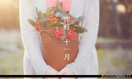 贵州药材APP