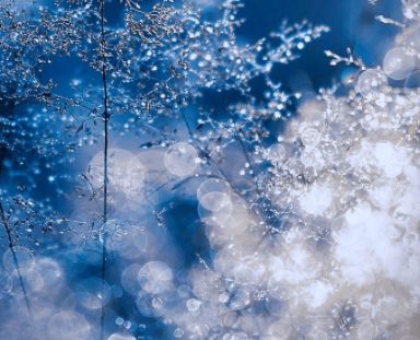 乐鱼APP体育V5.6专业版