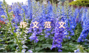 新蒲京app安卓版二维码