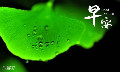 百乐门游戏手机版安卓版二维码