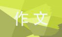 小熊洗车APP