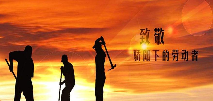 贵州药材APP