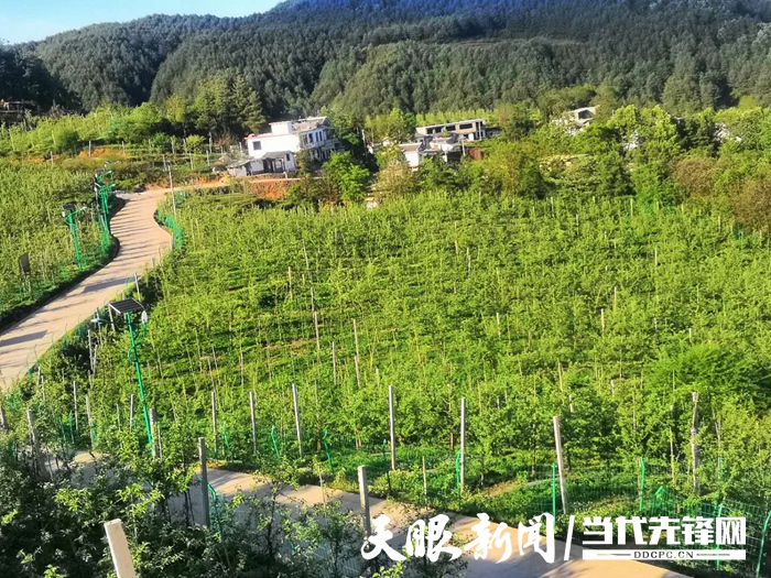 kaiyun体育app官网下载安装所需权限V3.7专业版
