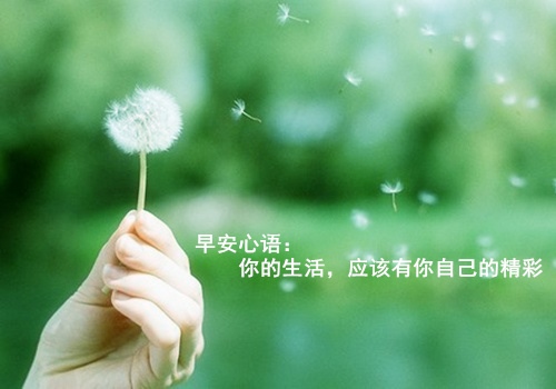 小熊洗车APP