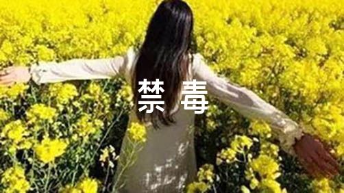 kaiyun体育综合app下载2025版指挥官界面与战术地图