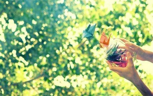 贵州药材APP