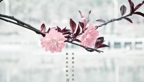 快三彩票APP下载V8.3专业版