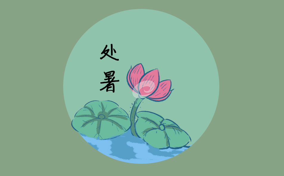 星空综合官网安卓版二维码