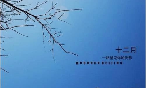 开云kaiyun官网登录V9.9专业版