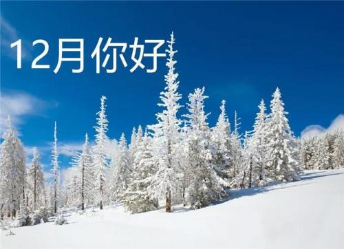 eman安卓版