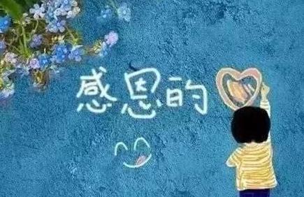 狒宝app