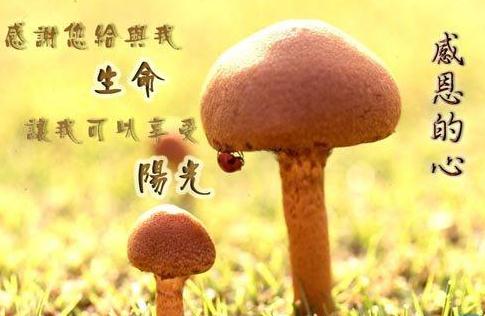 开yun体育appV3.3专业版