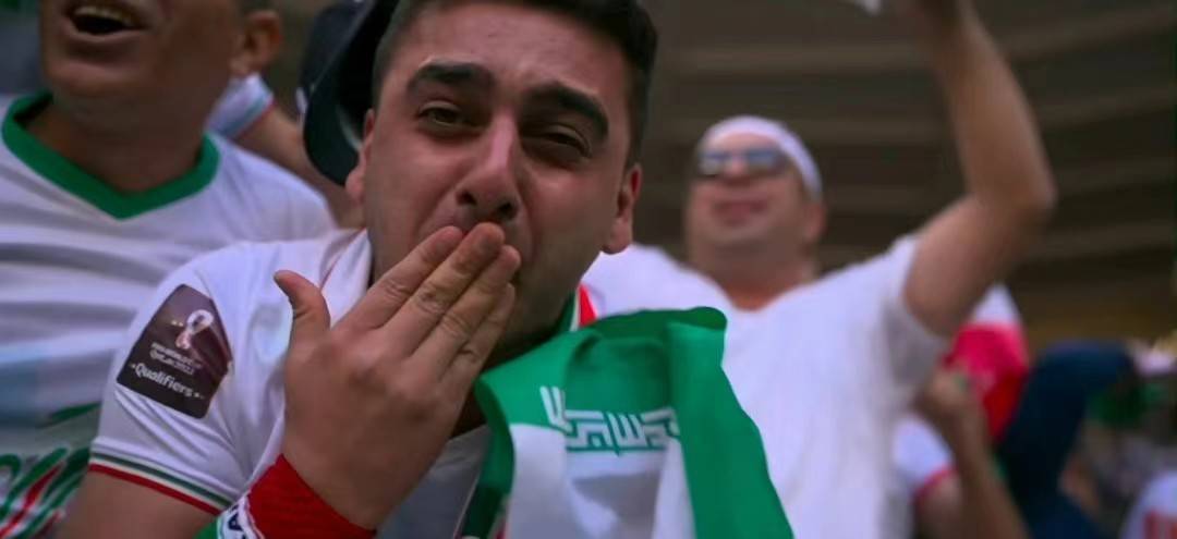 金星棋牌appV9.1专业版