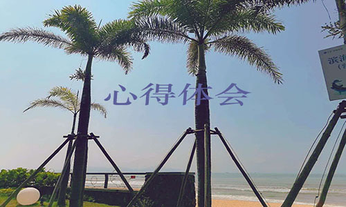 方正证券泉友通完美版