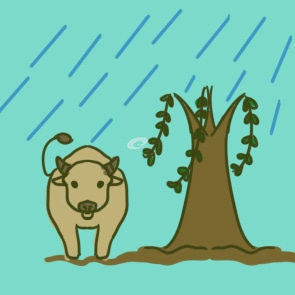 iis6缺失文件包(w3dt.mof/w3dt.mfl/w3isapi.mfl/w3isapi.mof 等)