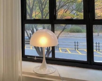 Ld21体育appV7.3专业版