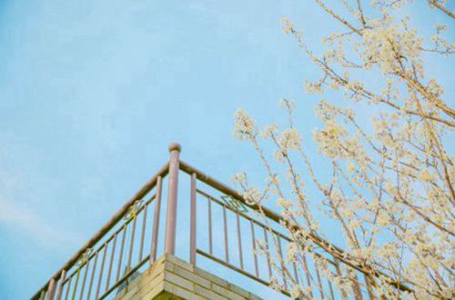freefilesync文件夹比较和同步工具