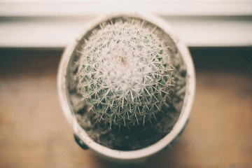 河南汽车维修平台APP