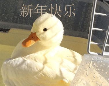 3D武装直升机