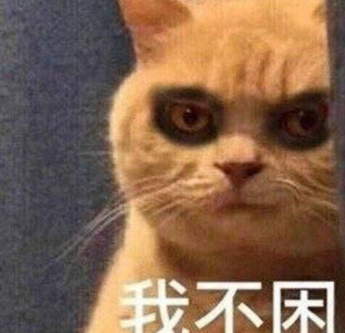 yobooappV9.2专业版
