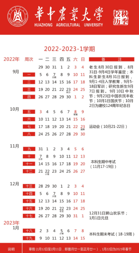 开云手机入口官网下载2025版主城场景