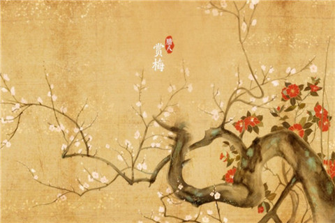 河南汽车维修平台APP