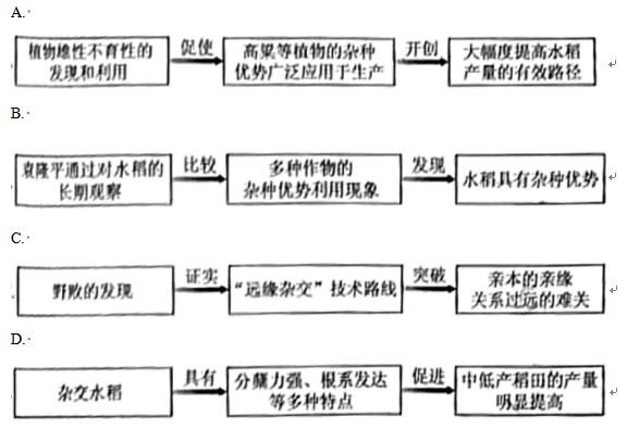 凯旋国际appV2.6专业版