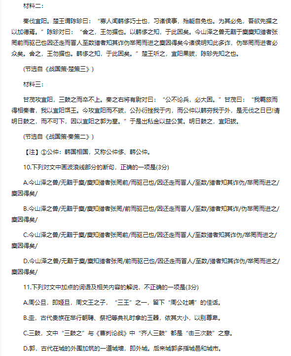 会说话的宠物兔子