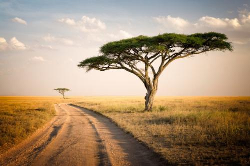 eman安卓版