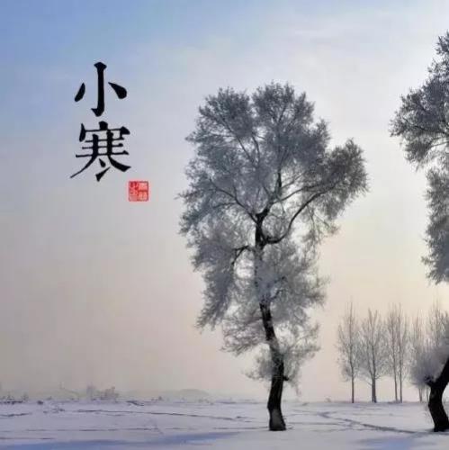红树林国际娱乐app安卓版二维码