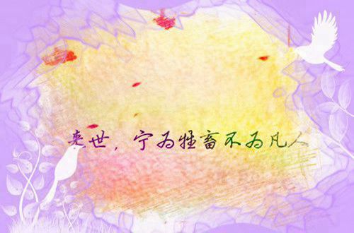 NG体育appV5.8专业版