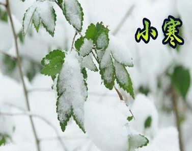 开云官方登录网站V5.8专业版