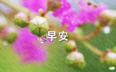 云开体育app官网手机版安卓版二维码