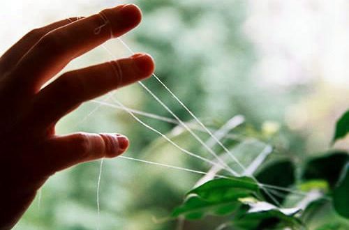 最安全投注平台