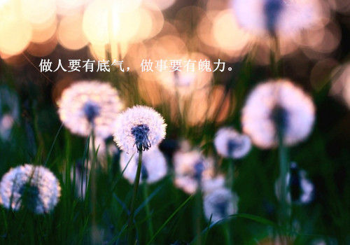 eman安卓版