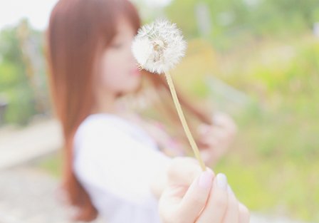 想不想修真