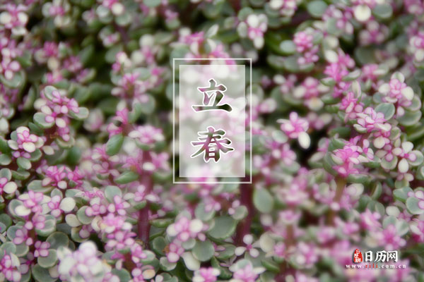小熊洗车APP